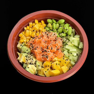 0151 Bowl salmon